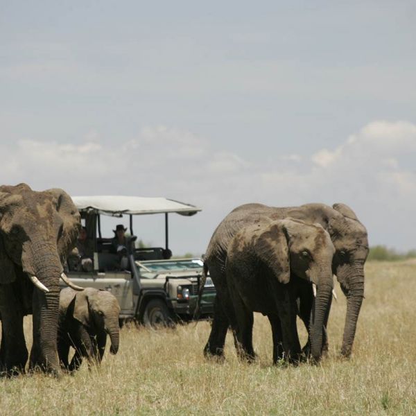 Recommended Safari and Beach Holiday in Kenya